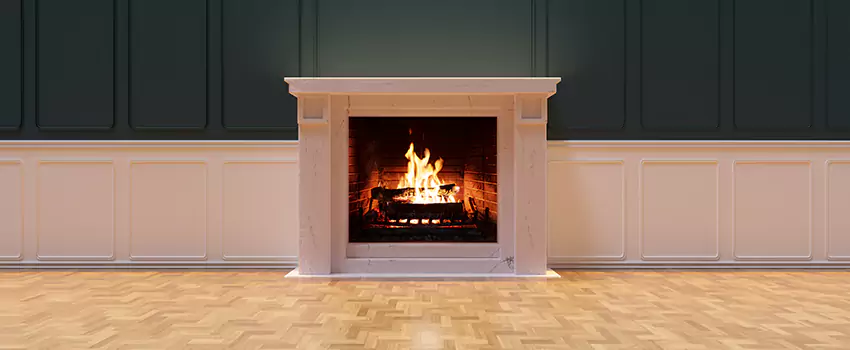 Napoleon Electric Fireplaces Inspection Service in Lawrenceville, Georgia